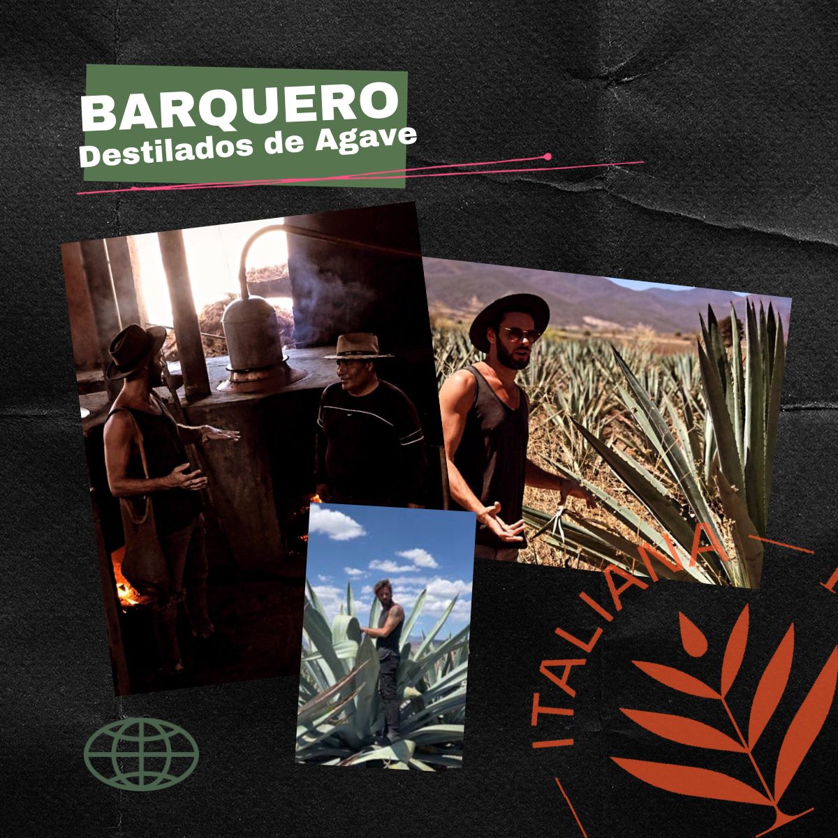 copertina - braquero destilados de Agave