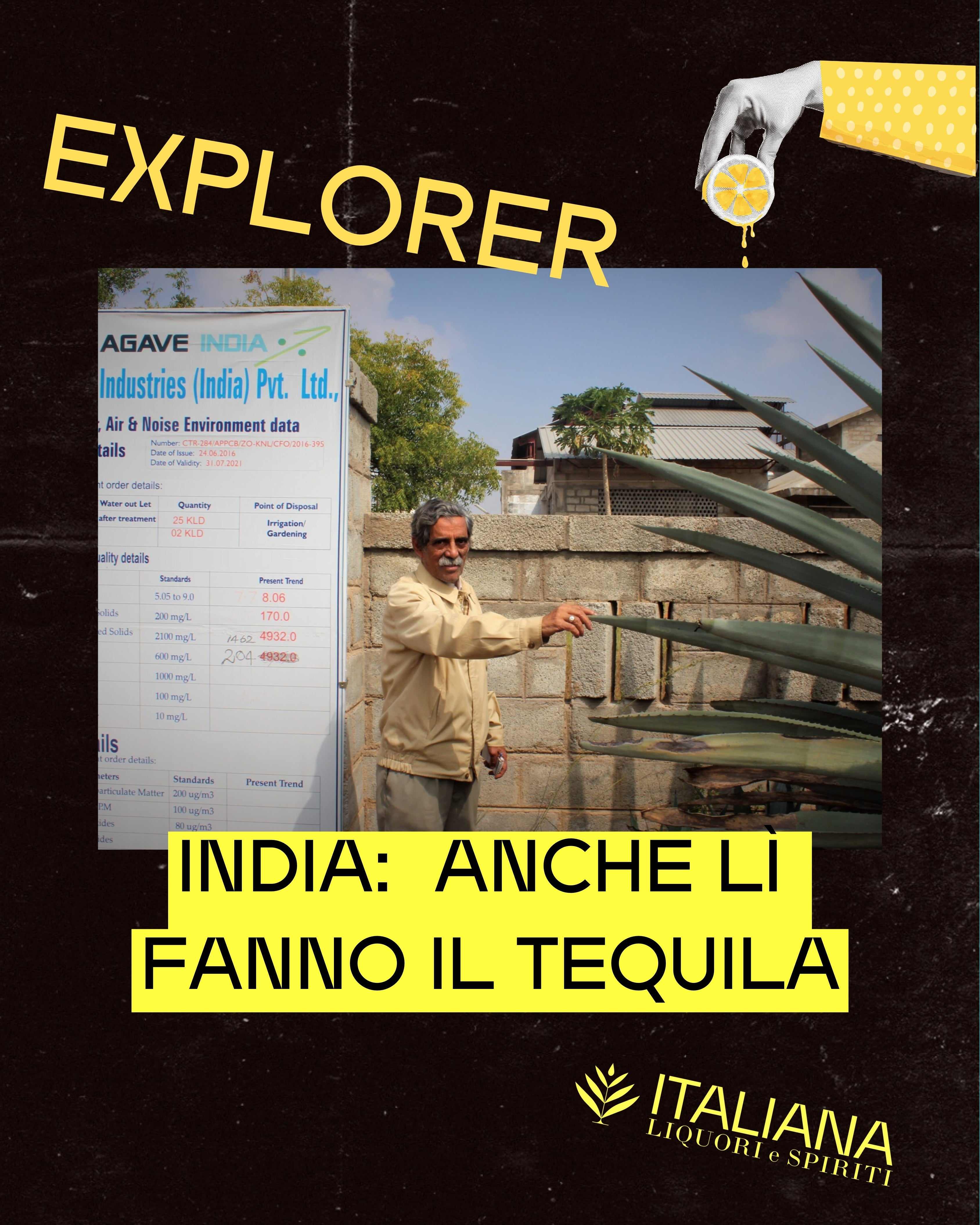 India: anche li fanno il Tequila