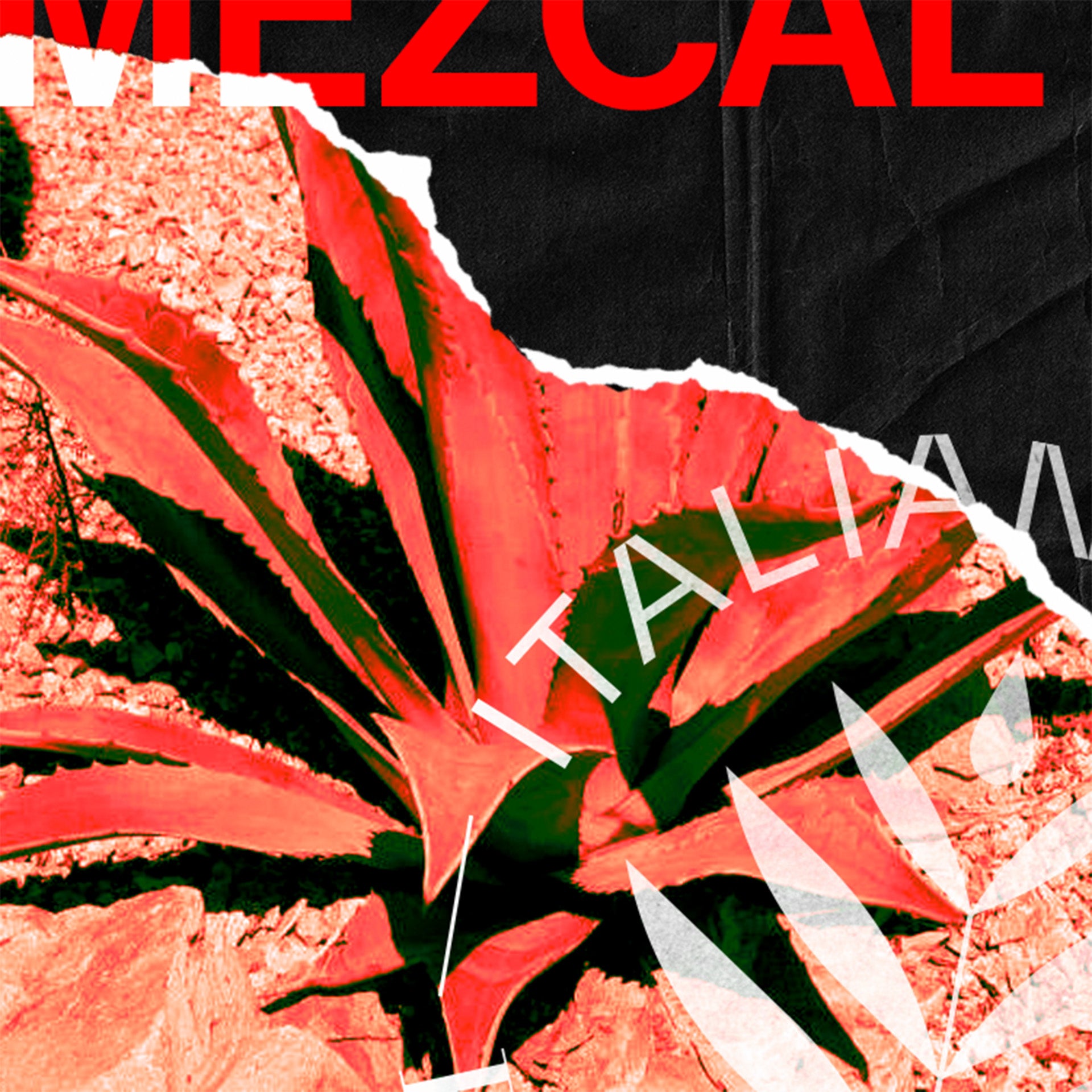 Mezcal